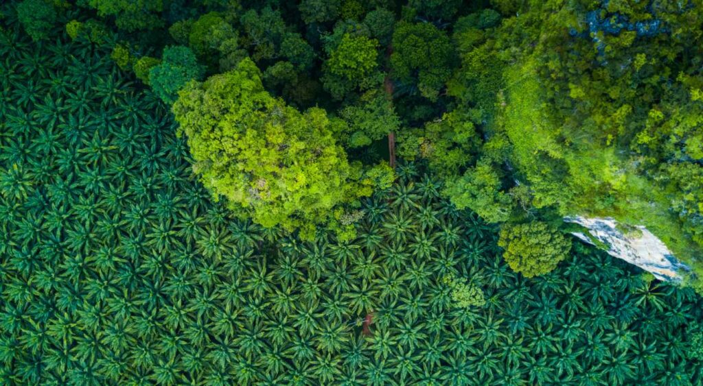 ABC World Asia Launches Inaugural Impact Report Invested S$98M From First Fund Across Five Companies Delivering Positive Impact In Financial Inclusion, Agriculture, Environment, and Health