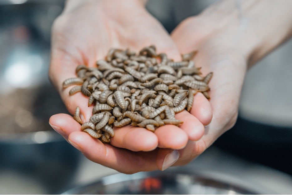 Singapore’s ABC Impact Backs French Biotechnology Company Innovafeed in USD 250M Round To Support Global Growth And Expansion