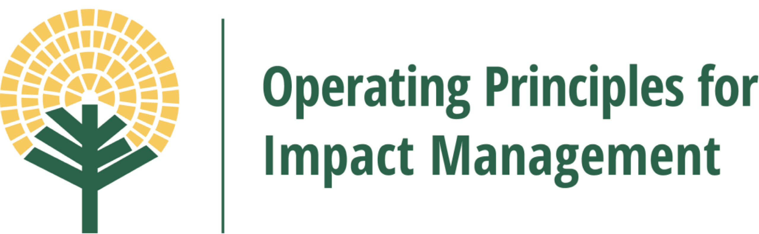 Operating Principles for Impact Management